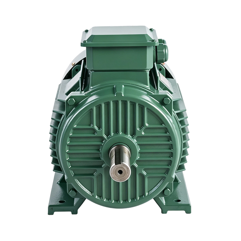 Motor de inducción de ahorro de energía de alta velocidad YE4/IE4 (2 polos)