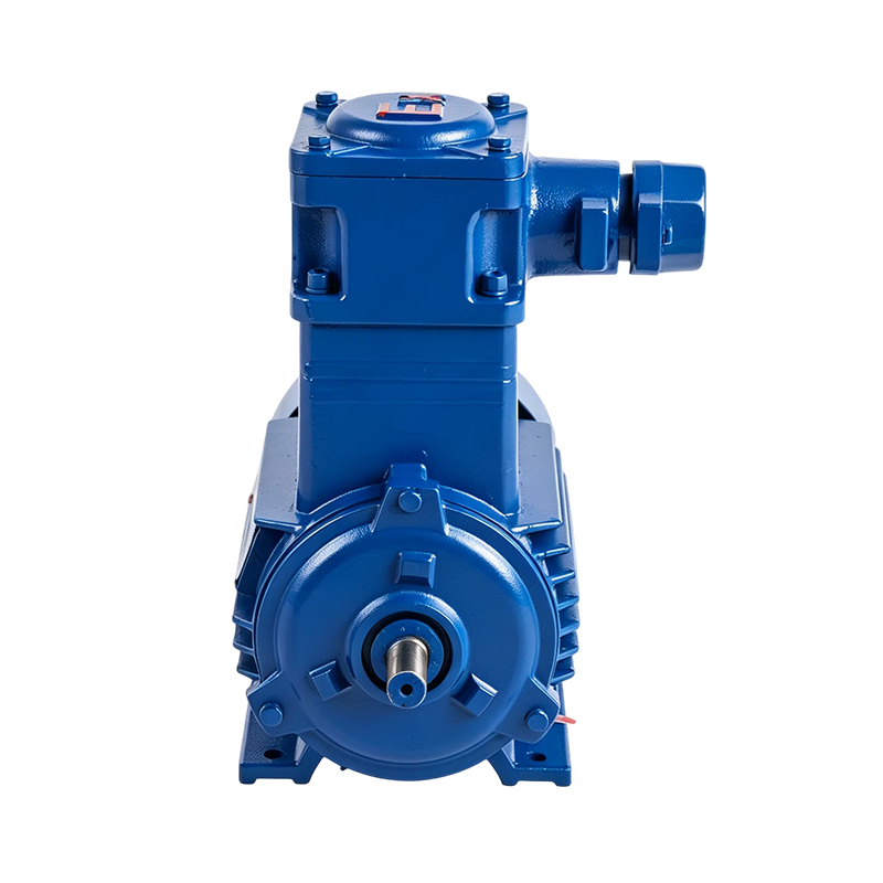 Motor de inducción a prueba de explosiones de alto par YBX3 (6 polos)