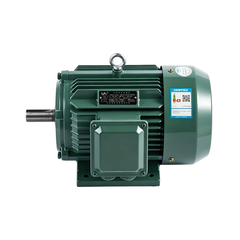 Motor de inducción de alta eficiencia y alta resistencia YE3/IE3 (6 polos)