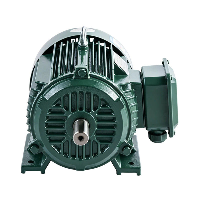 Motor de inducción de alta eficiencia y alta resistencia YE3/IE3 (6 polos)