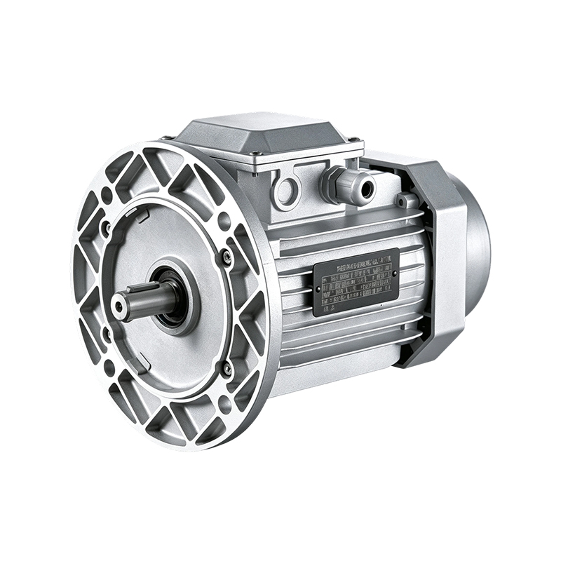 Motor de inducción de carcasa de aluminio de alta velocidad YE3/IE3 (2 polos)